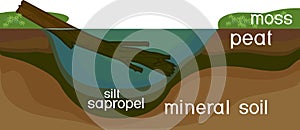 Sapropel and peat in nature.